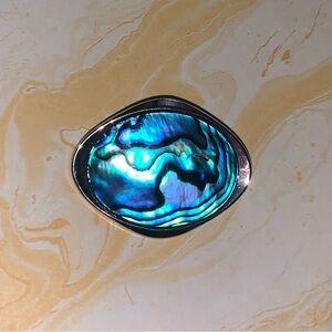 Vintage Blue Abalone Shell Oval Brooch.